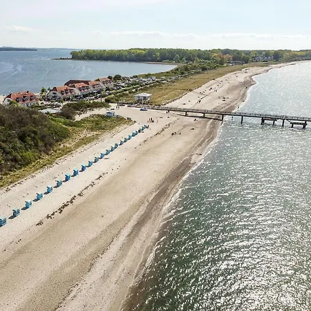Strandlaeufer