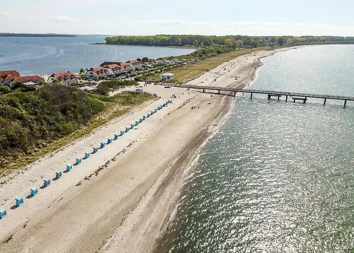 Strandläufer