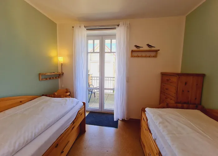 Strandläufer Rerik